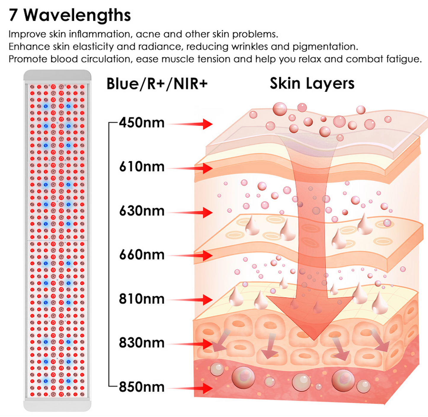 Renew Panorama Multi-Angle Red Light Therapy Panel