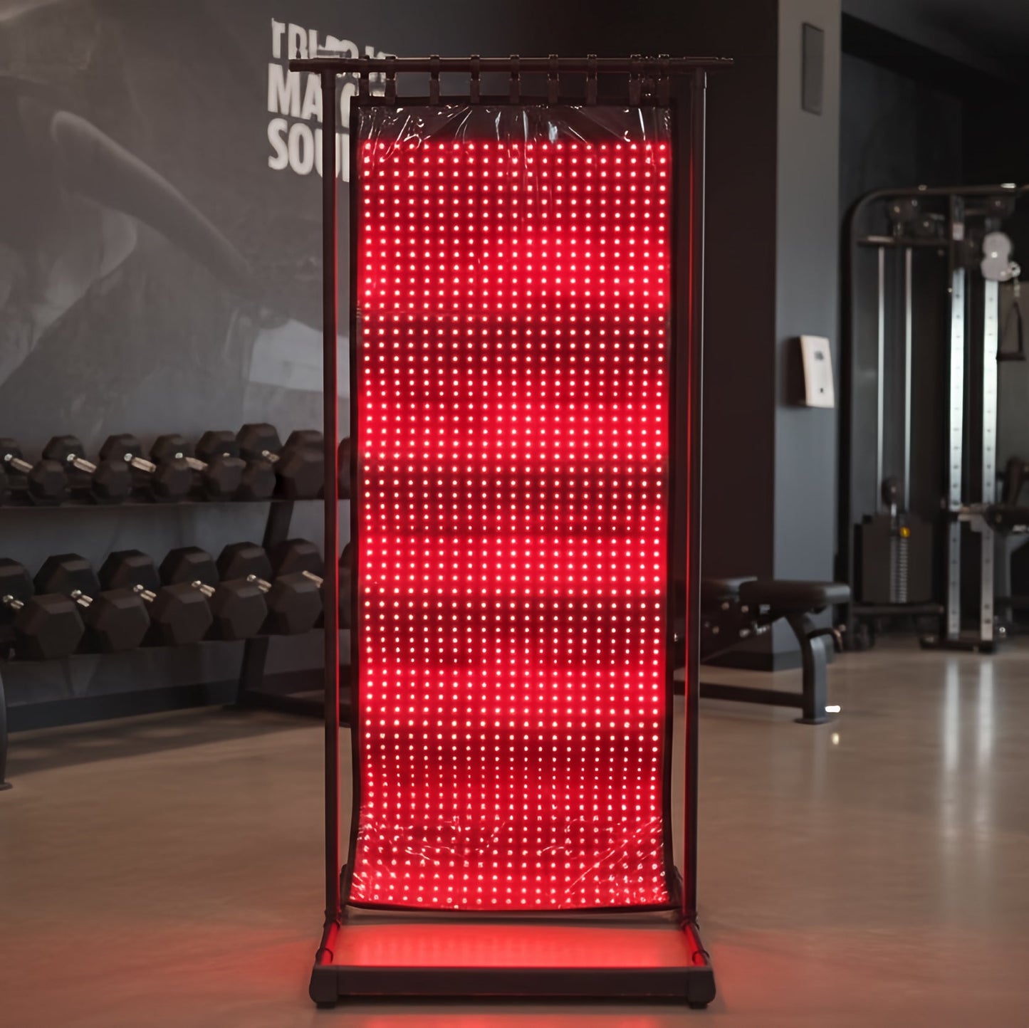 EnergyLounger Full Body Red & Infrared Light Therapy Blanket