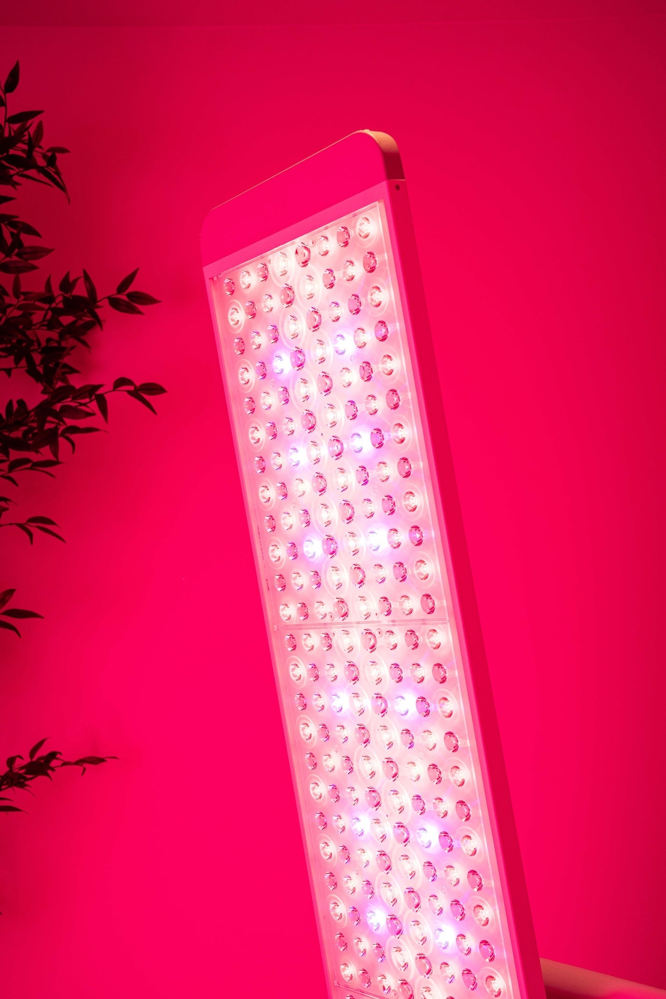 Renew Panorama Multi-Angle Red Light Therapy Panel